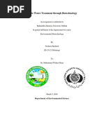 Waste Water Treatment Through Biotechnology