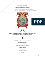 Determinacion de Parametros Fisicos-Quimicos en Laboratorio