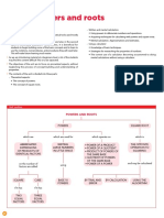 Powers and Roots: Unit Presentation