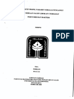 Indriani PDF