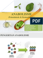 Anabolisme