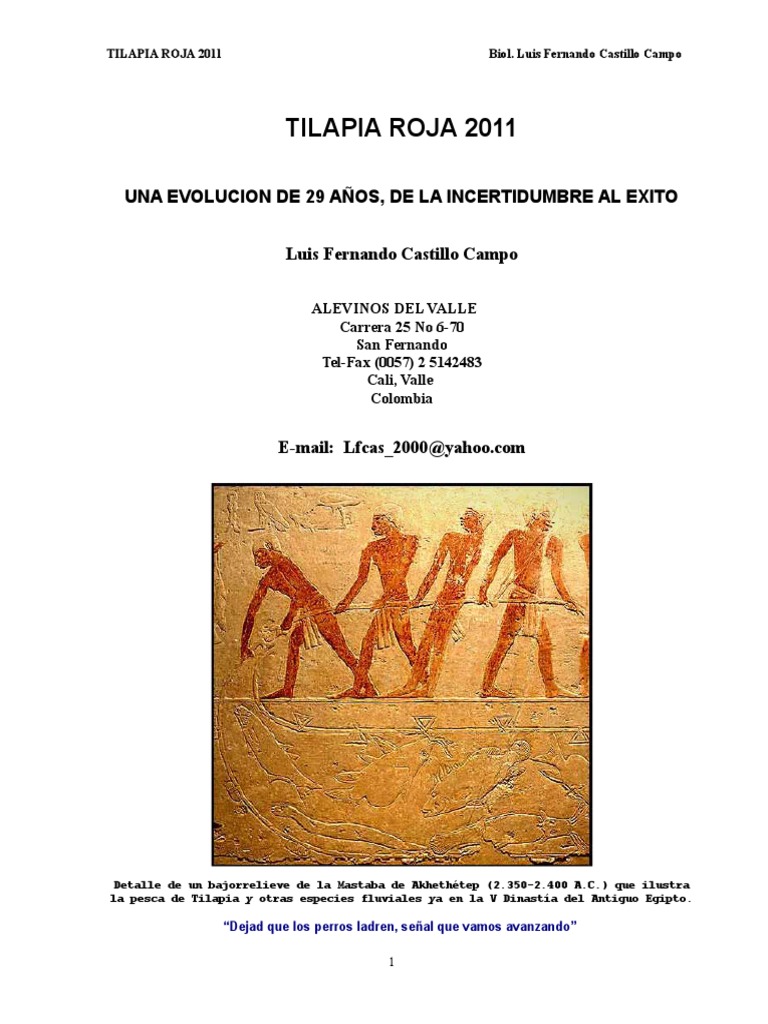 Tilapia | PDF | Acuicultura | Unión Europea