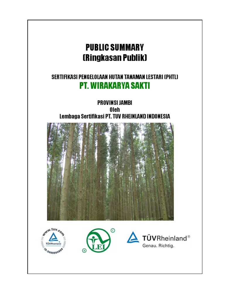 Ringkasan Publik Pt Wks Rev06122013 Pdf