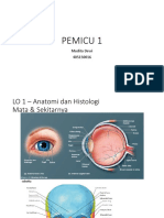 Pemicu 1 Indera