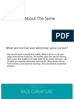 All About The Spine