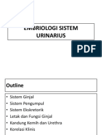 Embriologi Sistem Urinarius 2019