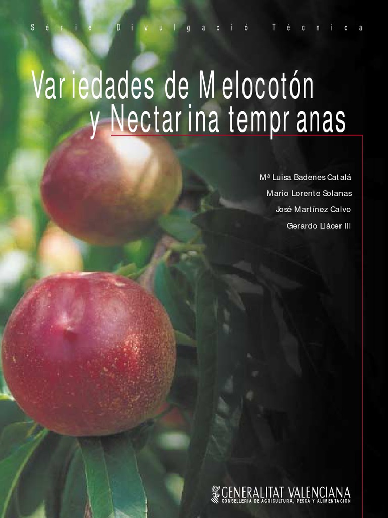 Variedades Tempranas de Melocotón y Nectarina | PDF | melocotón | Fruta