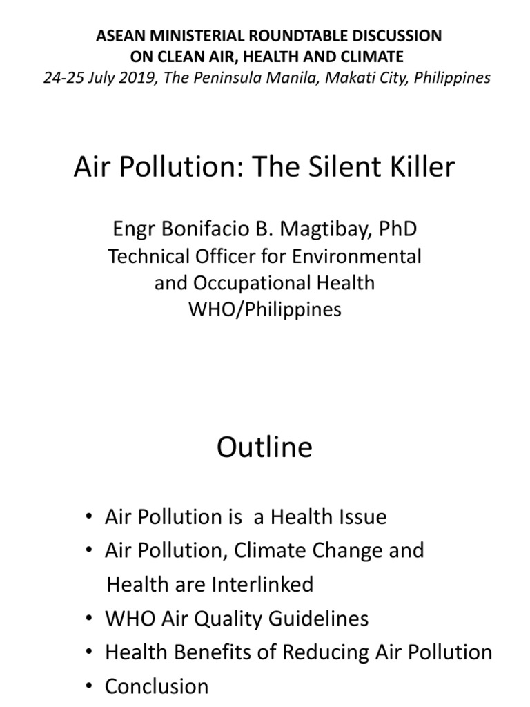 Air Pollution Silent Killer Who Pdf Air Pollution Particulates