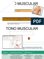 Tono Muscular