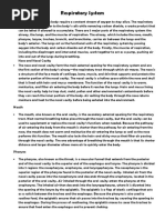 Respiratory System Overview and Functions | PDF | Respiratory System | Lung