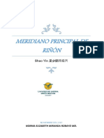 MERIDIANO_PRINCIPAL_DE_RINON.pdf