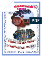 Programación Pastoral 2015-Bien