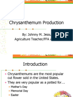 Chrysanthemum Production: By: Johnny M. Jessup Agriculture Teacher/FFA Advisor