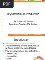 Chrysanthemum Production: By: Johnny M. Jessup Agriculture Teacher/FFA Advisor