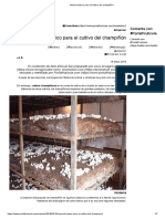 Manual básico de producción de champiñones