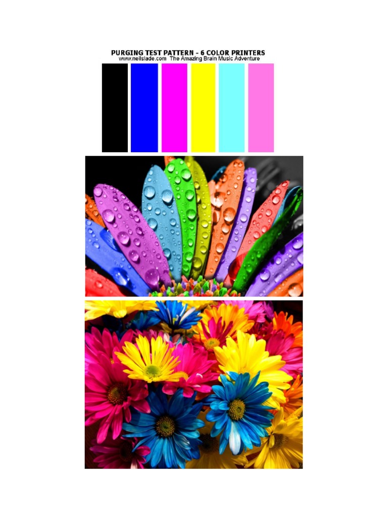 CMYK RGB Test | PDF