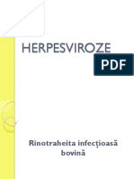 17 HERPESVIROZE.pdf