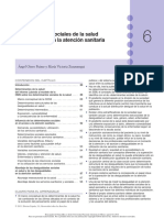 Determinantes sociales de la salud.pdf