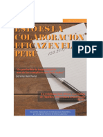 Colaboracion Eficaz IDL PDF