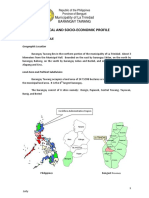 Barangay Tawang Physical and Socio-Economic Profile
