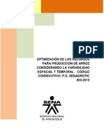 Informe Final Arroz PDF