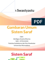 Gambaran Umum Sistem Saraf