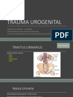 Trauma Urogenital