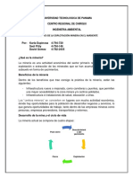 Efectos de La Explotación Minera en El Ambiente