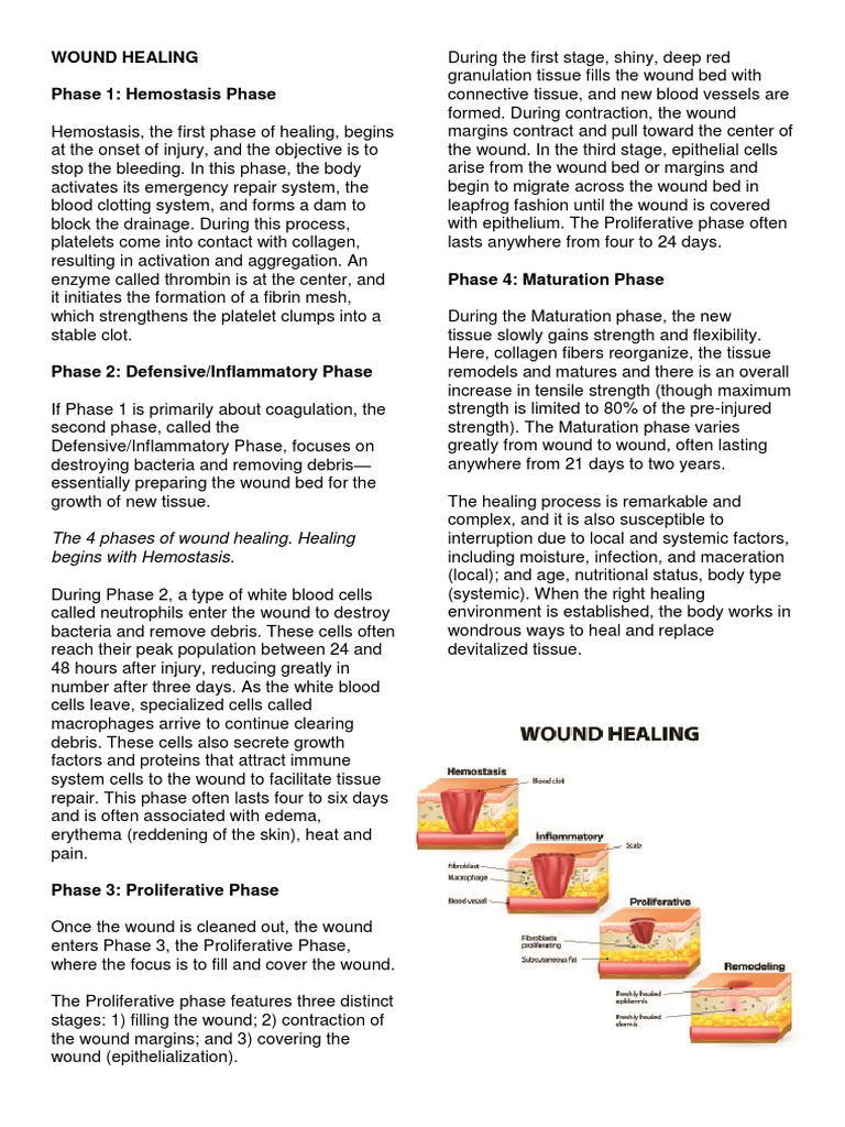 Wound Healing Phase 1 Hemostasis Phase Pdf Healing Wound Healing
