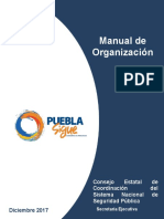 Manual Organizacin 1