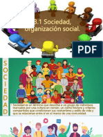 3.1 Sociedad Organizacion Social.