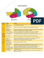 Áreas de Brodman
