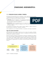 01.tipos_nutricion.pdf