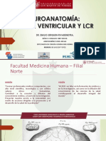 Usmp. Sistema Ventricular y Lcr.