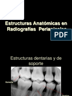 EstructurasPeriapicales PDF