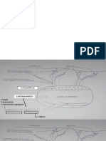 Presentación1.pptx