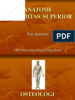 EXTREMITAS+SUPERIOR.ppt