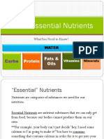 The 6 Essential Nutrients: Carbs