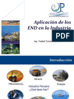 QPM SAC Aplicacion de Los END en La Industria Peruana