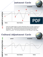 Cultural Adjustment Cycle: Entry Re-Entry