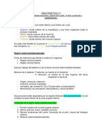 Región esternocleidomastoídea y lateral del cuello, límites contenido y subdivisiones. .docx