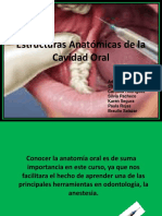252 - Anatomia, Anestesia PDF