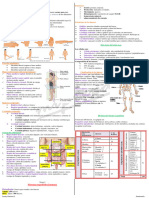 ANATOMÍA - Preuniversitario