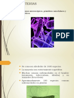 7.- Bacterias.pdf