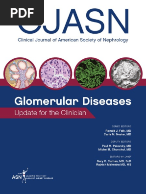Glomerular Diseases Cell Biology Anatomy