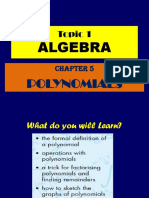 DP 1 Polynomials