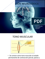 Evaluación Neurológica