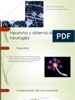 Neurona y Sistema de La Neuroglia