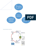 Triichuris Trichuria Mapas