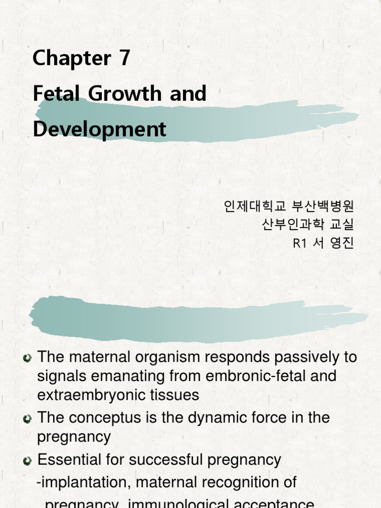 Fetal Growth and Development Overview | PDF | Placenta | Fetus